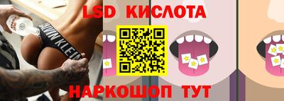 гашик Жуковский