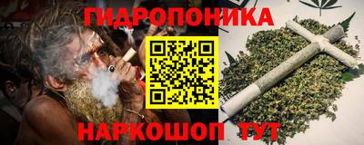 гашик Жуковский