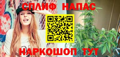 гашик Жуковский