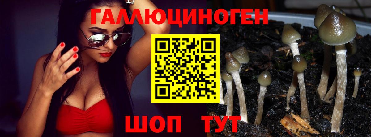 Псилоцибиновые грибы прущие грибы Михайловск